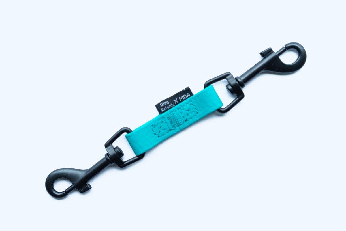 Blue Clip Small