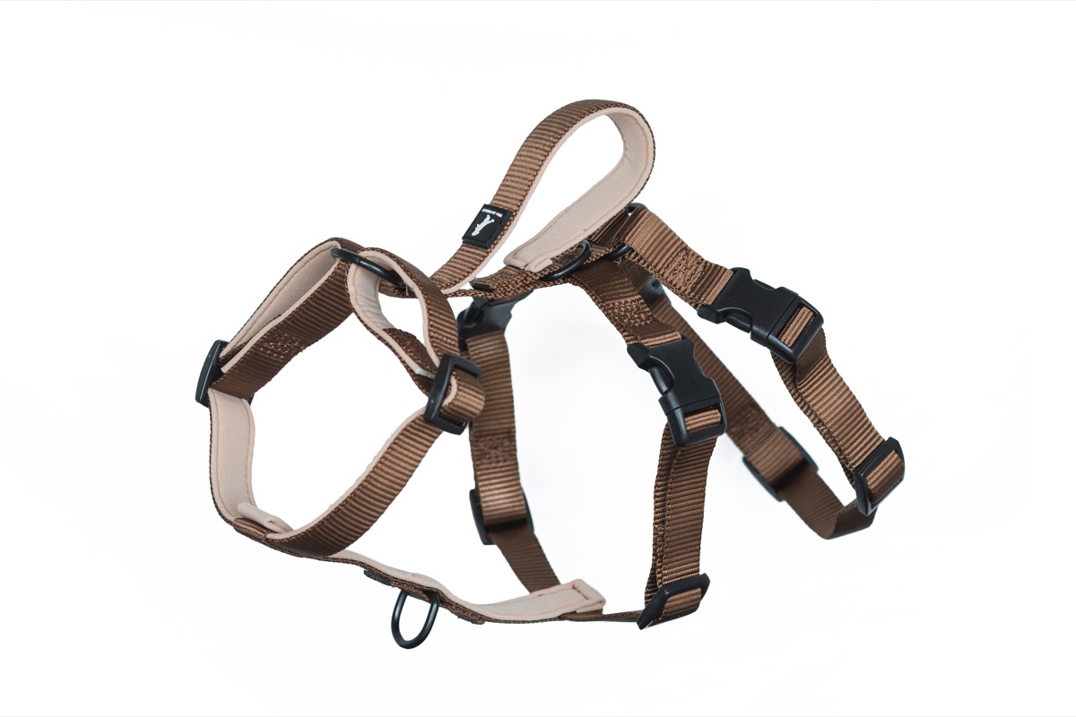 Brown Harness 3