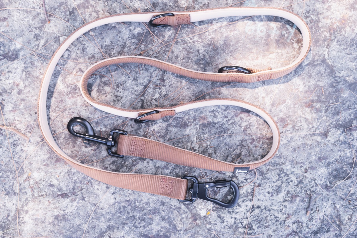 Leash 3