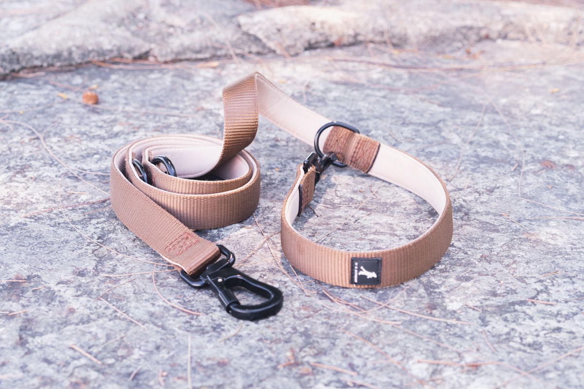Leash 4
